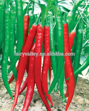 red pepper seeds