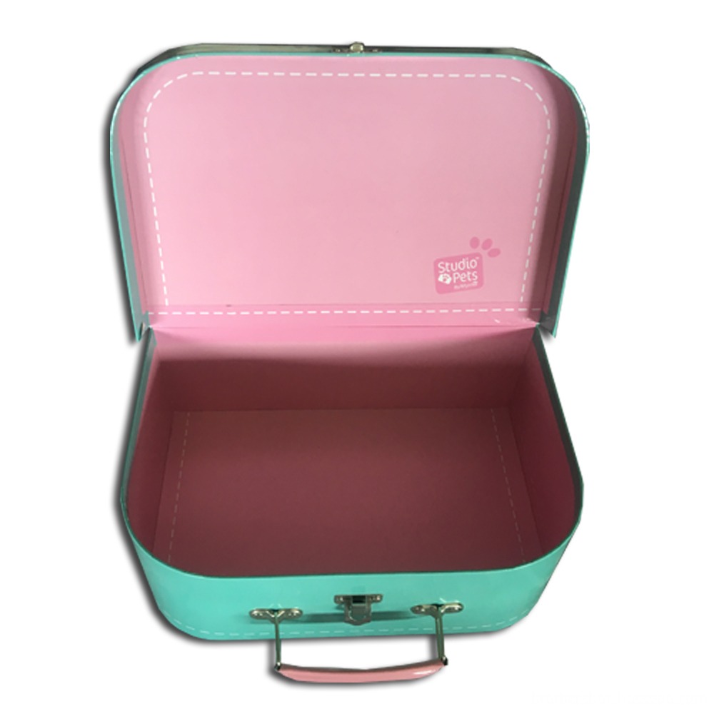 Cyan Color Carry Mini Printed Suitcase Box
