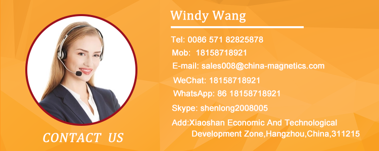 Windy Wang