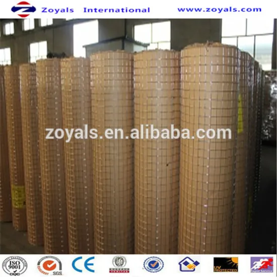 High Quality and Low Price Galvanized Welded Wire Mesh Roll