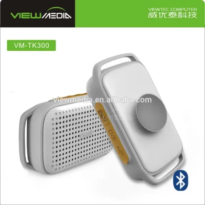 TK300 smart band 2016 top tech audio speaker bluetooth