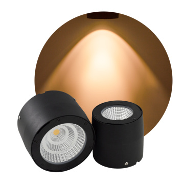 Binnen dimable spotlight IP65 oppervlakte gemonteerd LED -downlight