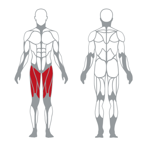 Popular High Quality Alternate leg extension