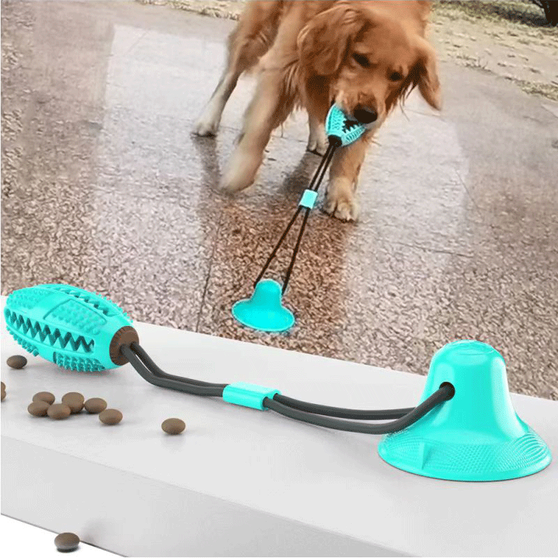 প্রিমিয়াম পোষা দাঁতের খেলনা