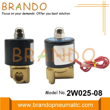 1/4'' 2W025-08 Brass Electric Solenoid Valve 24VDC 220VAC
