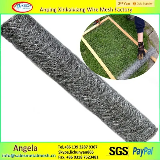 china alibaba PVC coated Hexagonal Chicken Wire Mesh manufacturing company