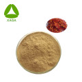 Honegsukle Flower Extract Chlorogénic Acid Powder 5%