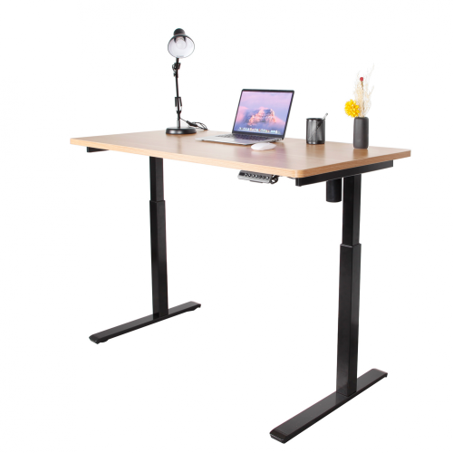 Single Motor Desk with 2-stage