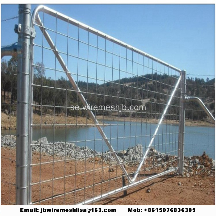 Hot Dipped Galvaniserad Australian Farm Gate