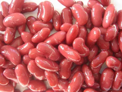 Canned Food/Canned Beans/Canned Red Kidney Beans/Canned Vegetables