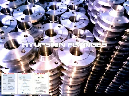 BS10 Table DE Weld Neck Flange SOFF BLANK