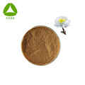 Snow lotus extract Saussurea extract Polysaccharide 50%