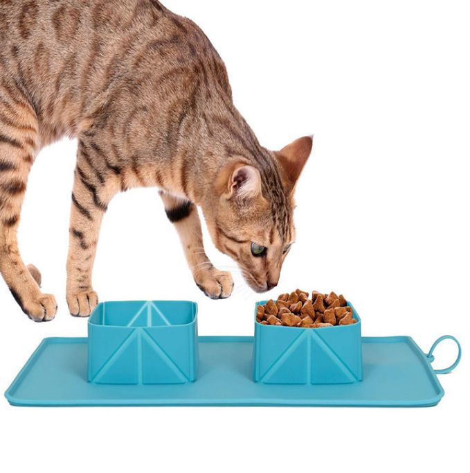 Foldable Silicone Pet Feeding Bowl
