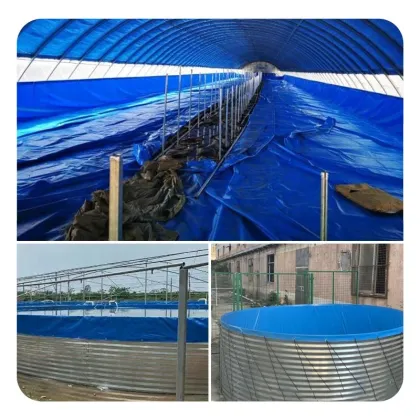 Custom Outdoor Aquaculture Solutions: Tilapia and Catfish Farming with Large PVC Tarps and Galvanized Sheets for Ponds