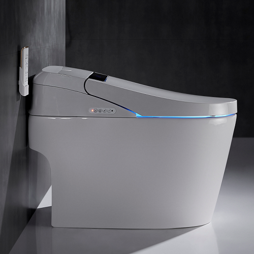 Remote Control Bidet Top Bathroom Titting Brands In The World