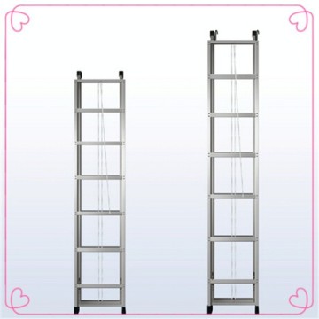 ladder with hook/aluminium hook ladder