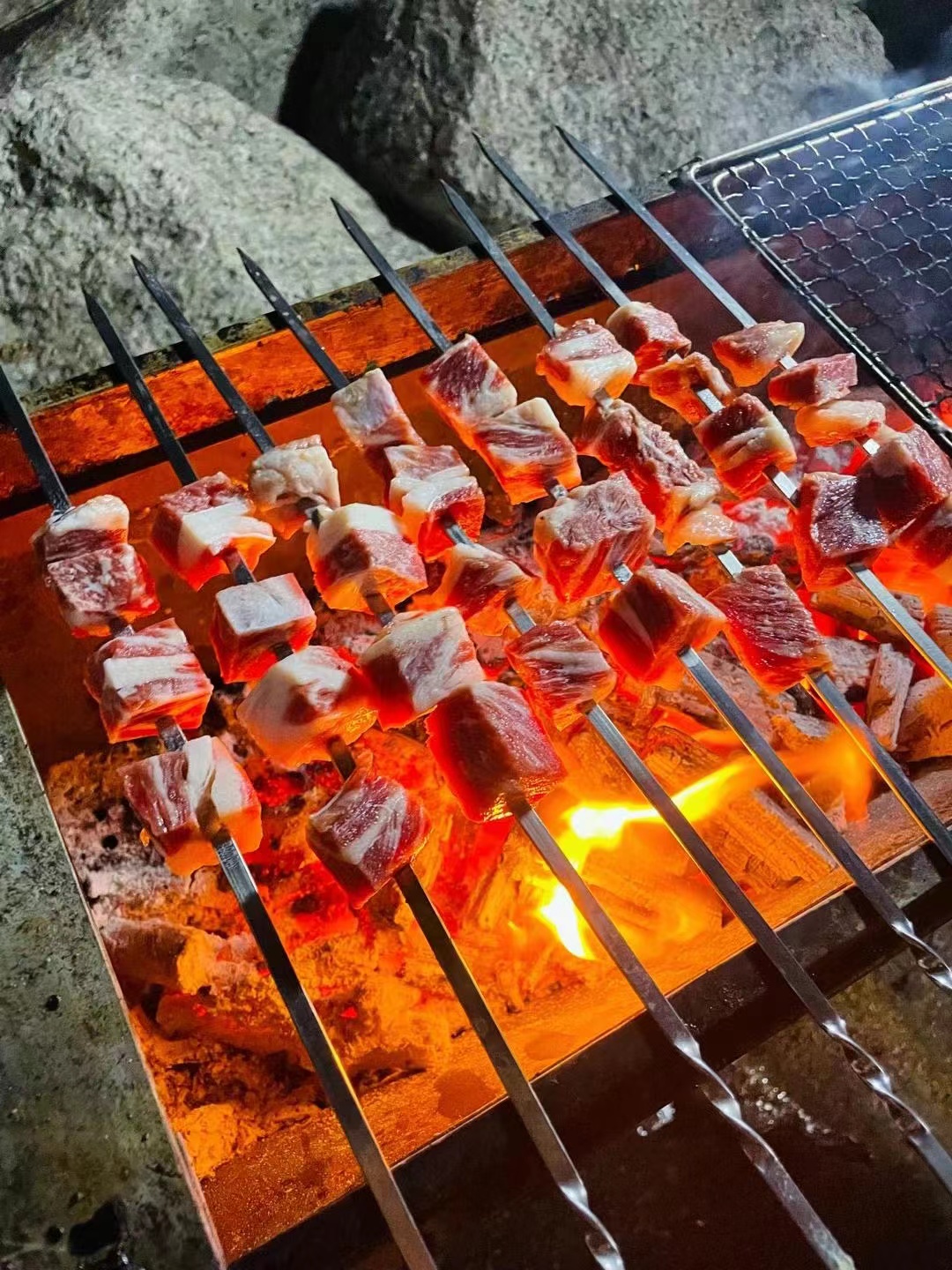 Portable Gas Grill
