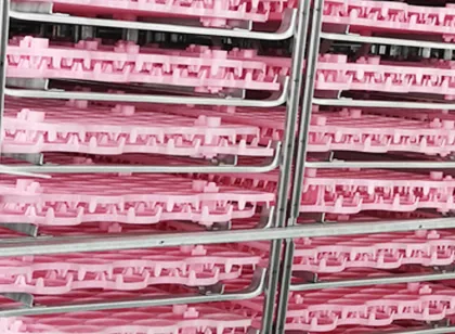 chicken egg incubator machine