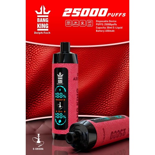 Bang King Shisha 25000 Puffs Disposerive Vape Wholesale