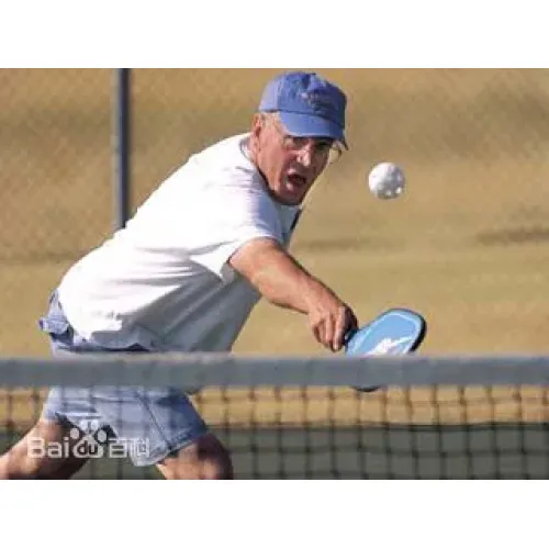 Hot Selling Professional Pickleball Paddles with Glass Fiber