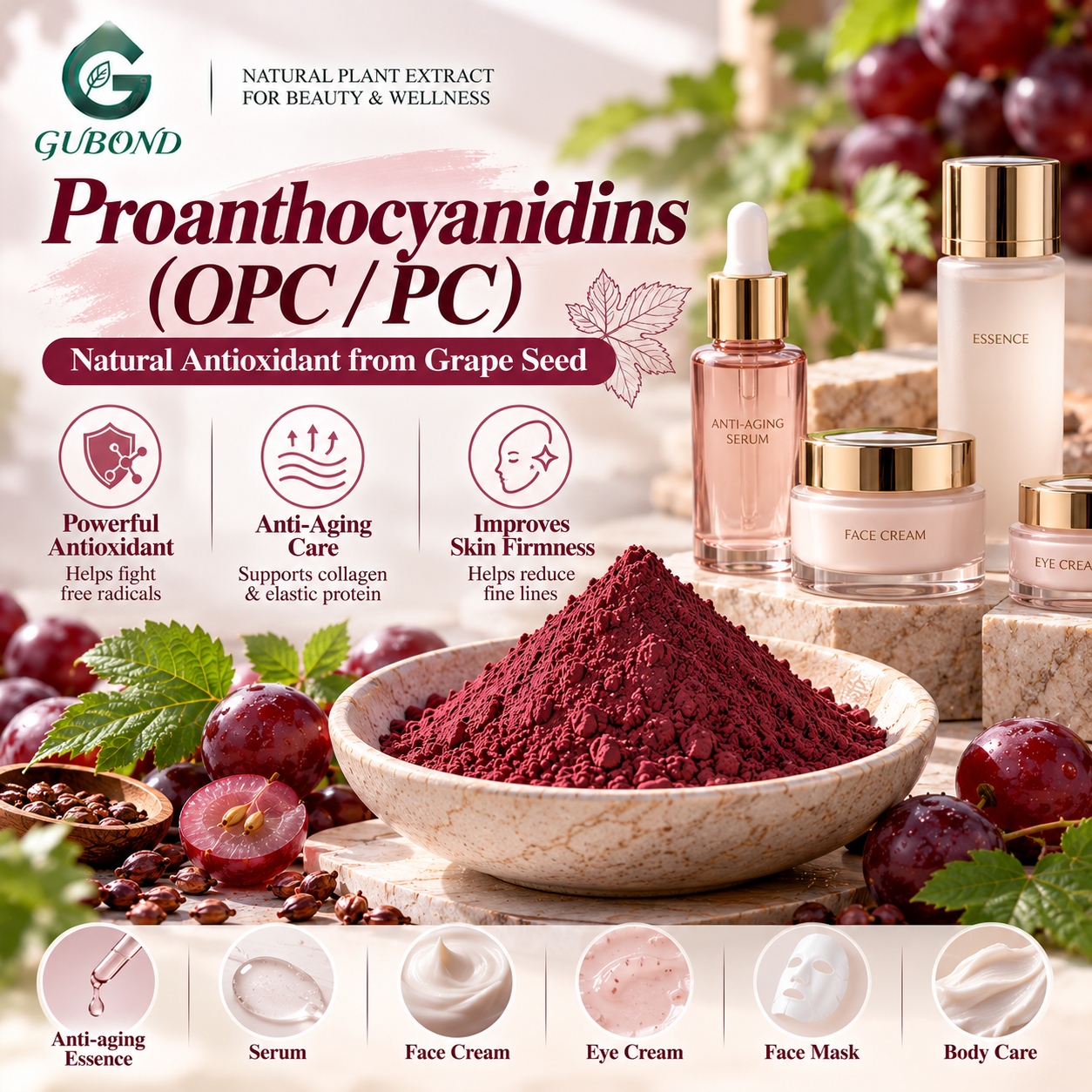 Proanthocyanidins (OPC PC) (6)