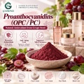 Proantocianidinas OPC 50%–98% Extracto vegetal para formulaciones cosméticas y alimentarias