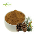 Pine Bark Extract for Enhanced Health Benefits