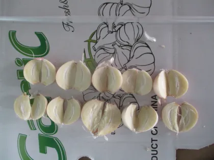 Normal Garlic From Jinxiang
