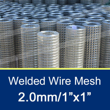 2.0mm/1"x1" Galvanized Welded Wire Mesh Roll for Sale