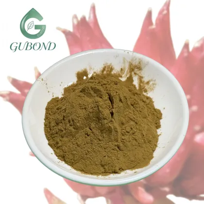 Natural Rhodiola Rosea Extract Powder Bulk