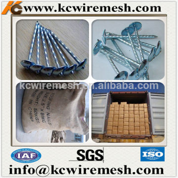 KANGCHEN 25kg jute bag packed roofing nails with twisted shank.