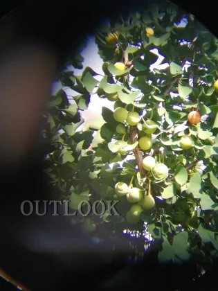 Waterproof HD Outdoor Monocular Telescope for Bird Watching