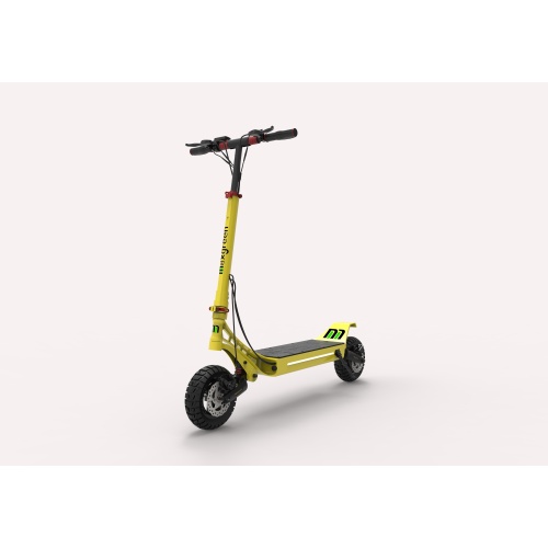 Blade 10 scooter électrique de pneu solide pour adulte