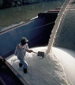 Sugar Icumsa 45