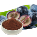 Biji Benih Grape Powder 95% untuk makanan tambahan