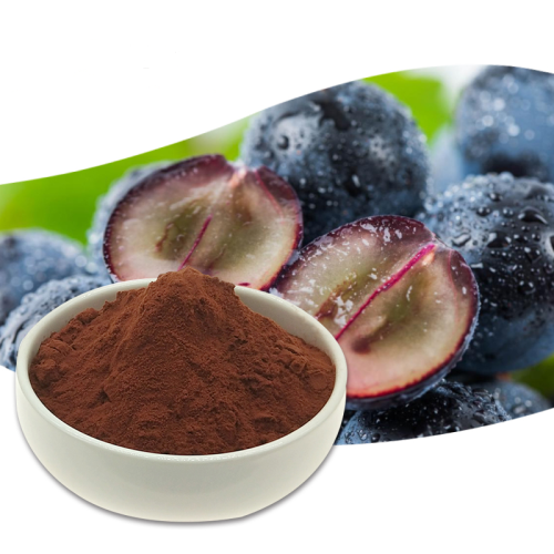 استخراج بذور العنب مسحوق OPC Anthocyanin 95٪