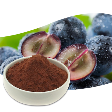 Trauben-Samen-Extrakt-Puder 95% für Nahrungsergänzungsmittel