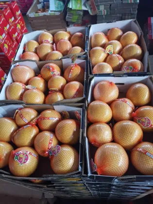 Fresh Pomelo New Crop