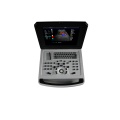 Cheap Sale Notebook Ultrasound Machine 3D/4D Color Doppler