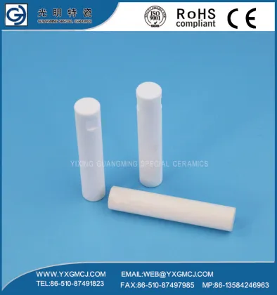99% Alumina Ceramic plunger