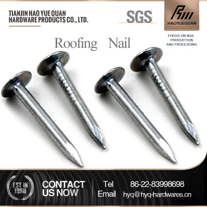 low price fasteners clout nails from tianjin