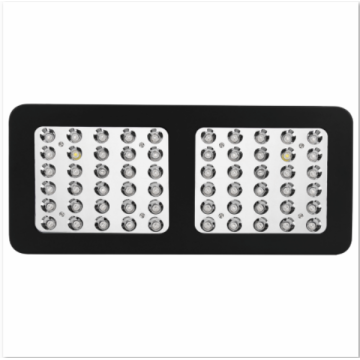 Nuovi prodotti 2018 Indoor COB LED Grow Lighting