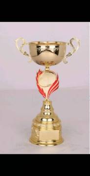 Metal trophy