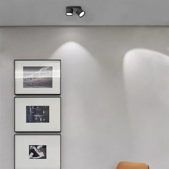 Nordic Style 14W Double Head Adjustable Ceiling Spotlight