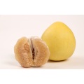 Esportare la qualità standard del pomelo fresco