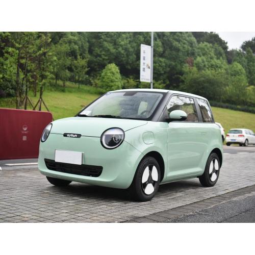 EV Small Electric Car 2022 충전 마일리지 301km 판매