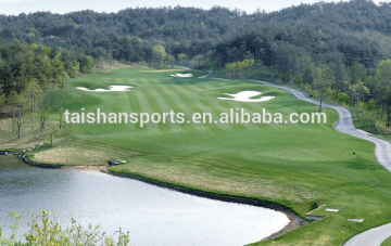 GOLF putting green synthetic lawn grass