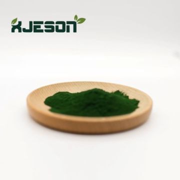 Natural Pigment Sodium Copper Chlorophyllin Powder