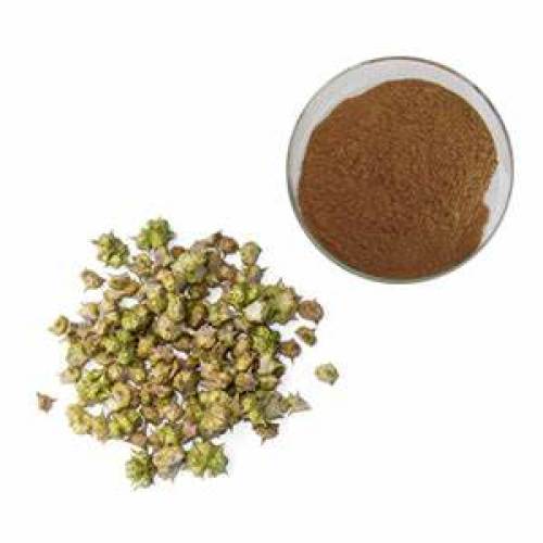 Wholesale Tribulus Terrestris Extract