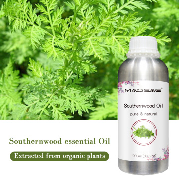 Cosmetic Grade Hot Selling Artemisia Southernwood Óleo essencial